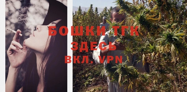 сатива Арсеньев