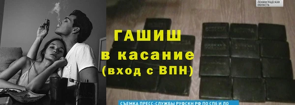 сатива Арсеньев