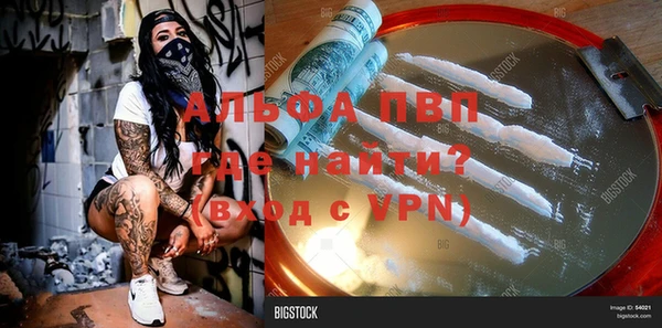 сатива Арсеньев