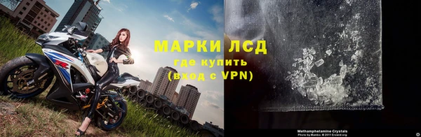 сатива Арсеньев