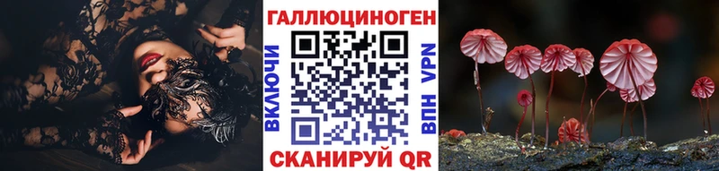 Псилоцибиновые грибы Psilocybine cubensis  цены   Суздаль 