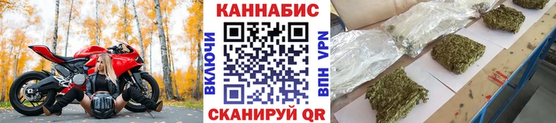 Конопля сатива Суздаль