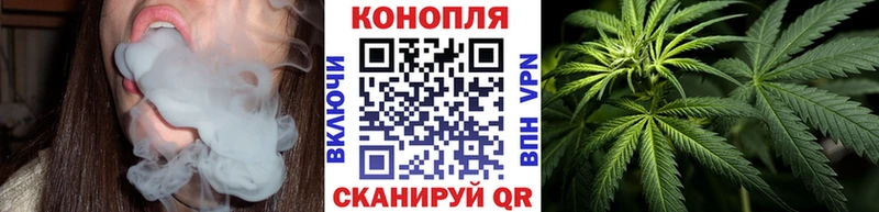 купить наркотик  Суздаль  мега ССЫЛКА  Канабис VHQ 